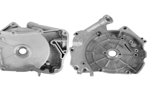 tapa carter derecho DS150